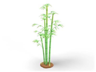 Five green bamboo culms with darker node rings and tufts of narrow leaves on a small brown soil base