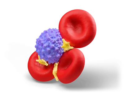 Three red blood cells around a violet white blood cell with small yellow platelets in between