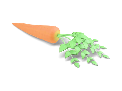 Stylized orange carrot lying on its side with a fan of feathery green leaves