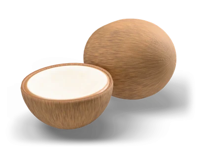 Stylized brown coconut next to an open coconut half with white coconut meat