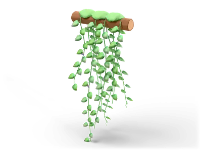 Trailing green vines with heart-shaped leaves hanging from a short mossy wooden branch