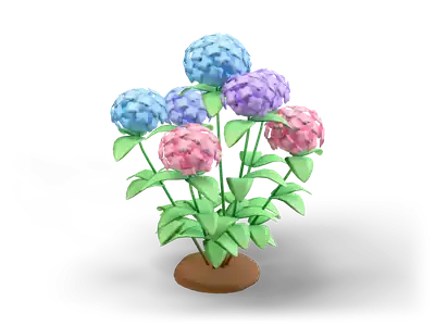 Hydrangea bush with round blue, lilac and pink flower heads and large green leaves on a brown soil mound