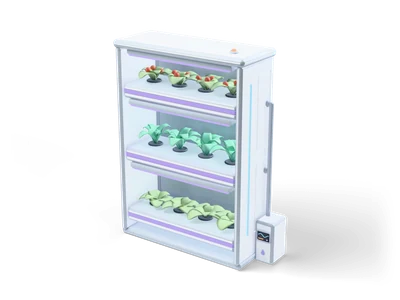 White sci-fi shelf with three trays of green plants and coral berries under lilac grow lights, with a grey pipe and a small pump on the side