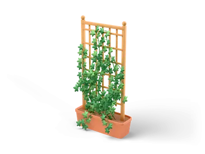 Green ivy with lobed leaves climbing a small wooden trellis in a rectangular terracotta planter