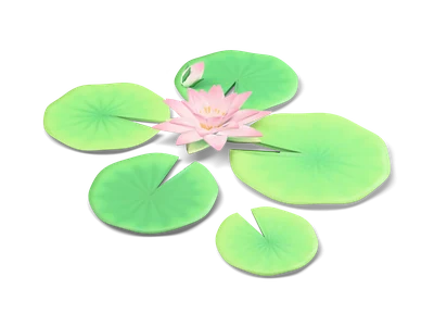Five round green lily pads with notches around a white and pink water lily with a yellow center and a bud