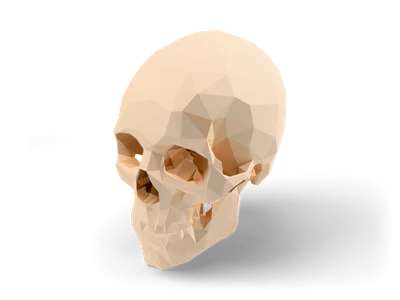 Faceted low poly human skull in beige with flat-shaded planes, dark eye sockets and closed jaw