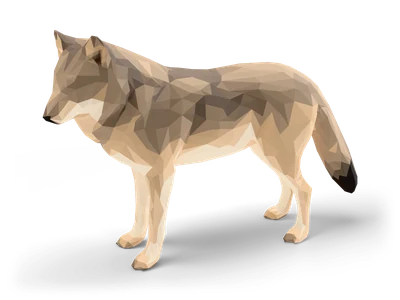 Facettierter Low-Poly-Grauwolf, stehend, mit graubraun gesprenkeltem Fell, hellen Beinen und dunkler Schwanzspitze