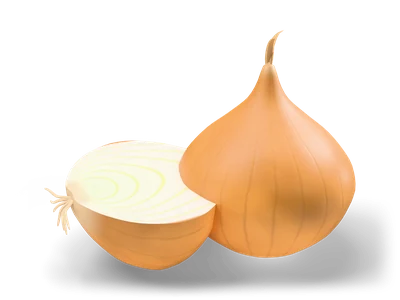 Stylized golden onion standing upright next to a halved onion showing white rings and small roots