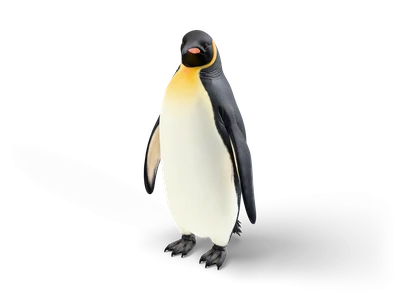 Kaiserpinguin, aufrecht stehend, mit schwarzem Rücken, weißem Bauch, goldgelbem Halsfleck und grauen Füßen