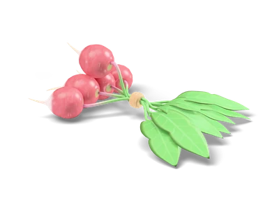 Stylized bunch of pink red radishes tied with raffia and green leaves fanning out