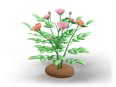 Stylized rose bush with pink and coral roses, small buds and green pinnate leaves on a brown soil mound