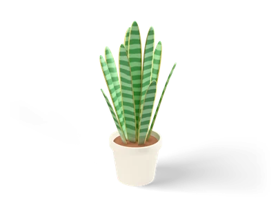 Snake plant with tall upright banded green leaves and yellow edges in a cream pot