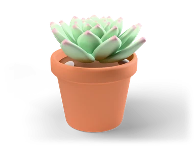 Mint green echeveria rosette with pink leaf tips in a terracotta pot with dark soil and small pebbles