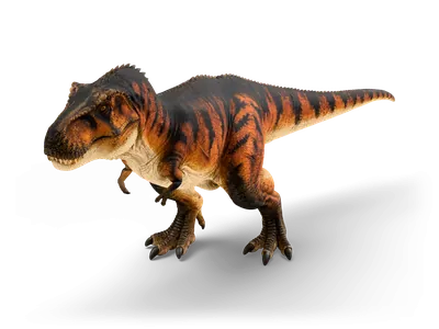 Tyrannosaurus rex with orange-brown striped skin, pale belly and clawed feet, standing with head lowered