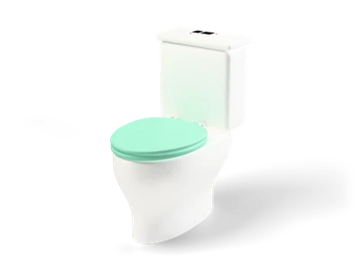 White ceramic toilet with a close-coupled cistern and a mint green seat and lid