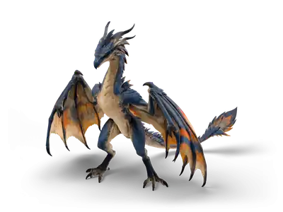 Zweibeiniger schieferblauer Wyvern im Stand mit halb gefalteten Flügelarmen, orangen Flügelbändern, Stachelkranz und langem Stachelschwanz